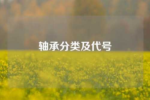 軸承分類及代號