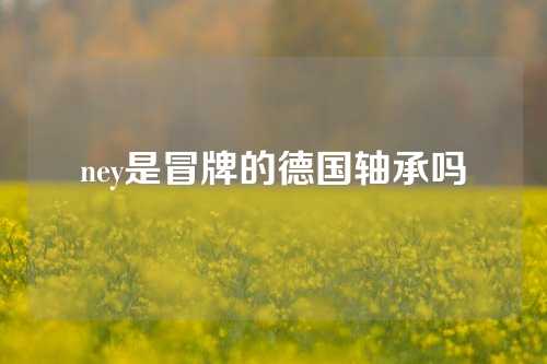 ney是冒牌的德國軸承嗎