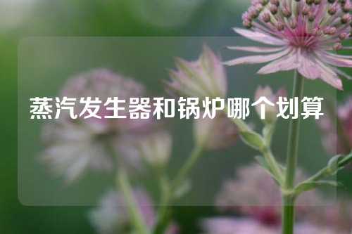 蒸汽發(fā)生器和鍋爐哪個劃算