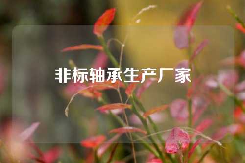 非標(biāo)軸承生產(chǎn)廠家