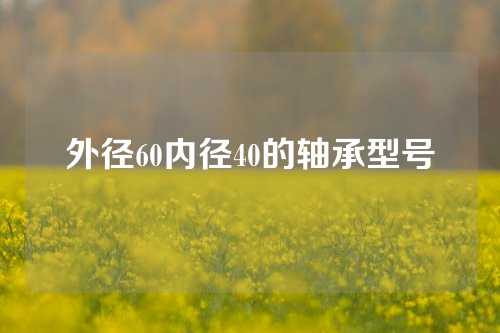 外徑60內(nèi)徑40的軸承型號(hào)