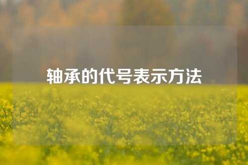 軸承的代號表示方法