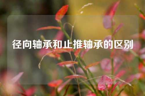 徑向軸承和止推軸承的區(qū)別