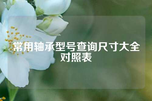 常用軸承型號(hào)查詢尺寸大全對照表