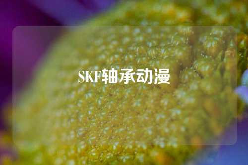 SKF軸承動漫