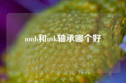 nmb和nsk軸承哪個好