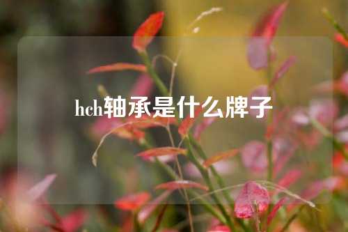 hch軸承是什么牌子