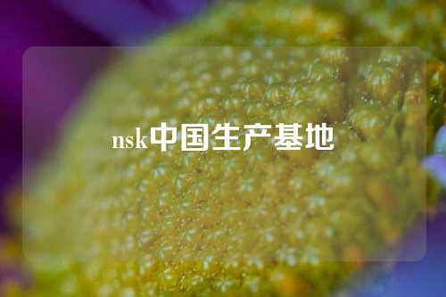 nsk中國生產(chǎn)基地