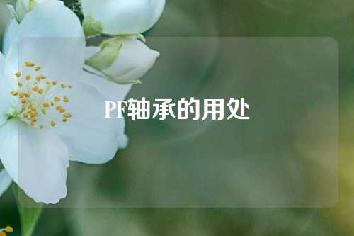 PF軸承的用處