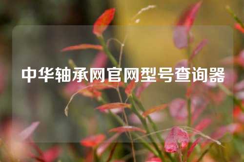 中華軸承網(wǎng)官網(wǎng)型號(hào)查詢器