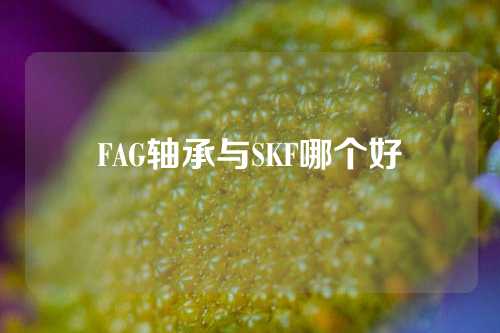 FAG軸承與SKF哪個好