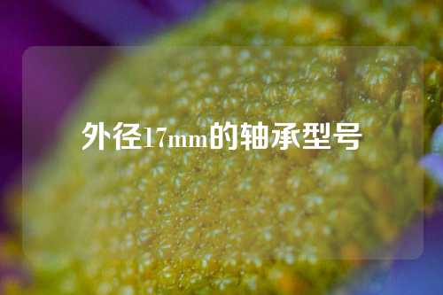 外徑17mm的軸承型號(hào)