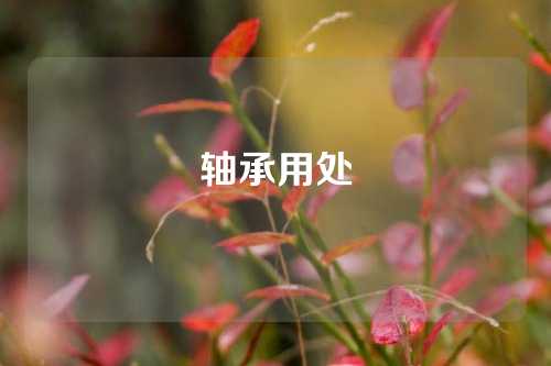 軸承用處