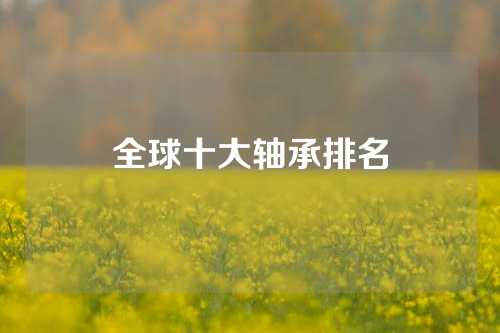 全球十大軸承排名