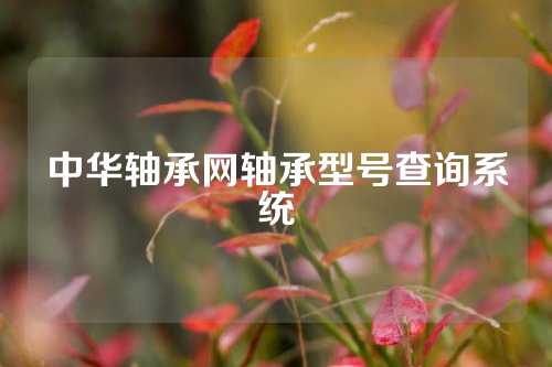 中華軸承網(wǎng)軸承型號查詢系統(tǒng)