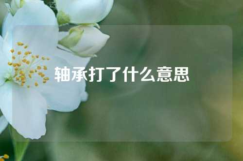 軸承打了什么意思