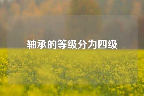 軸承的等級(jí)分為四級(jí)