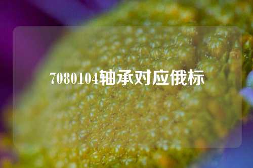 7080104軸承對(duì)應(yīng)俄標(biāo)