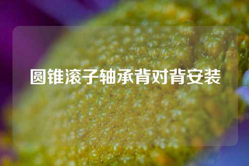 圓錐滾子軸承背對背安裝