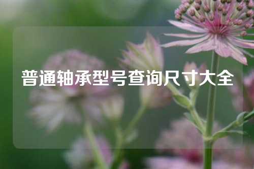 普通軸承型號查詢尺寸大全