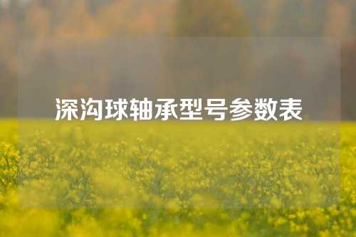 深溝球軸承型號參數表