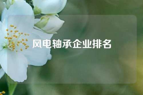 風電軸承企業(yè)排名