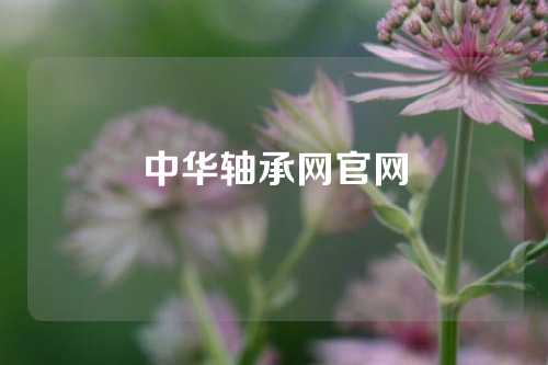 中華軸承網官網