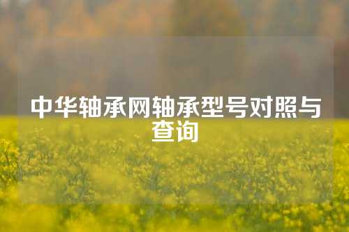 中華軸承網(wǎng)軸承型號(hào)對(duì)照與查詢