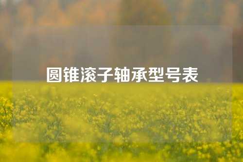 圓錐滾子軸承型號(hào)表