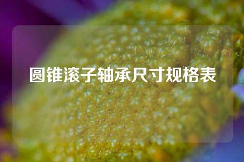 圓錐滾子軸承尺寸規(guī)格表