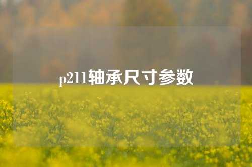 p211軸承尺寸參數(shù)