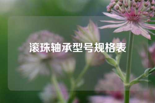 滾珠軸承型號規(guī)格表