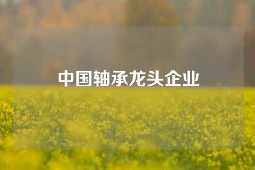 中國軸承龍頭企業(yè)