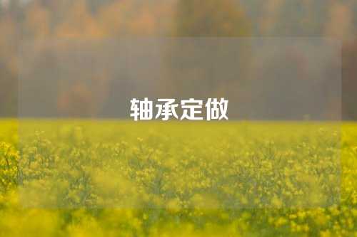 軸承定做