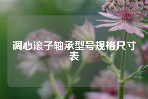 調(diào)心滾子軸承型號規(guī)格尺寸表