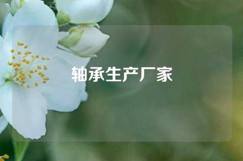 軸承生產(chǎn)廠家