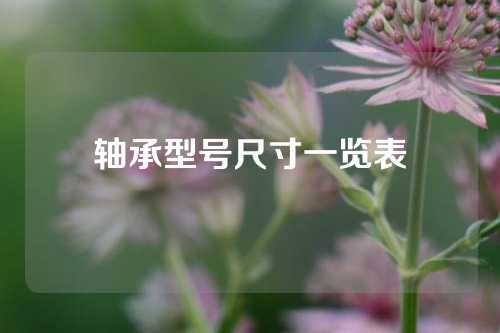 軸承型號尺寸一覽表