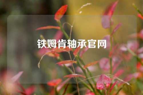 鐵姆肯軸承官網(wǎng)