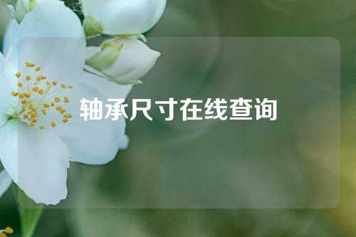 軸承尺寸在線查詢