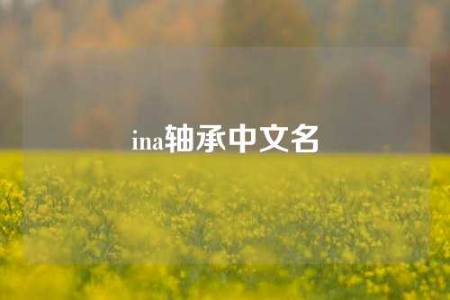 ina軸承中文名