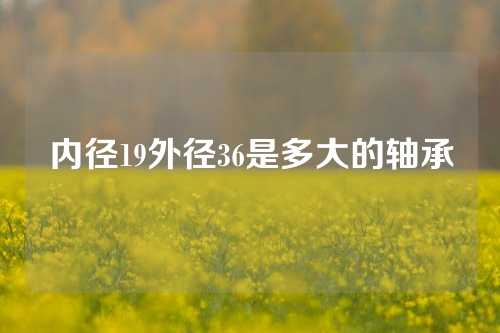 內(nèi)徑19外徑36是多大的軸承