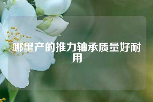 哪里產(chǎn)的推力軸承質(zhì)量好耐用