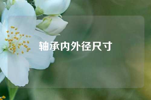 軸承內(nèi)外徑尺寸