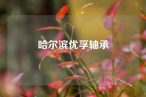 哈爾濱優(yōu)孚軸承