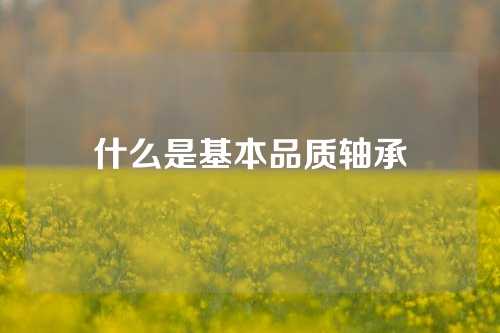 什么是基本品質(zhì)軸承