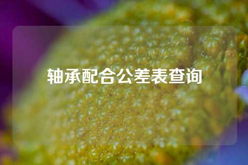 軸承配合公差表查詢