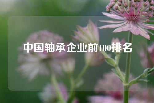 中國軸承企業(yè)前100排名