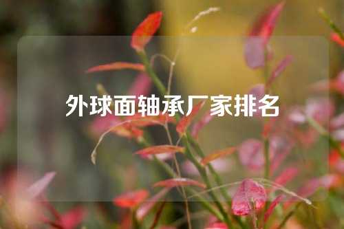 外球面軸承廠(chǎng)家排名