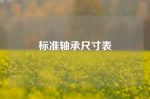 標準軸承尺寸表