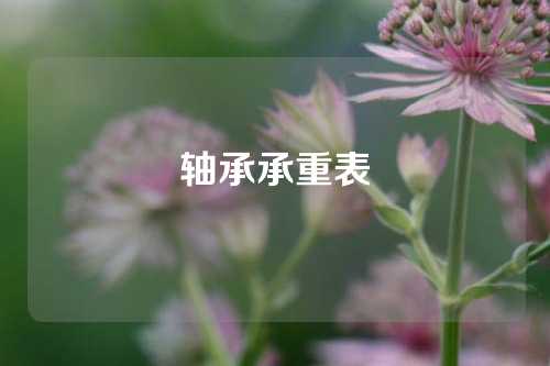 軸承承重表